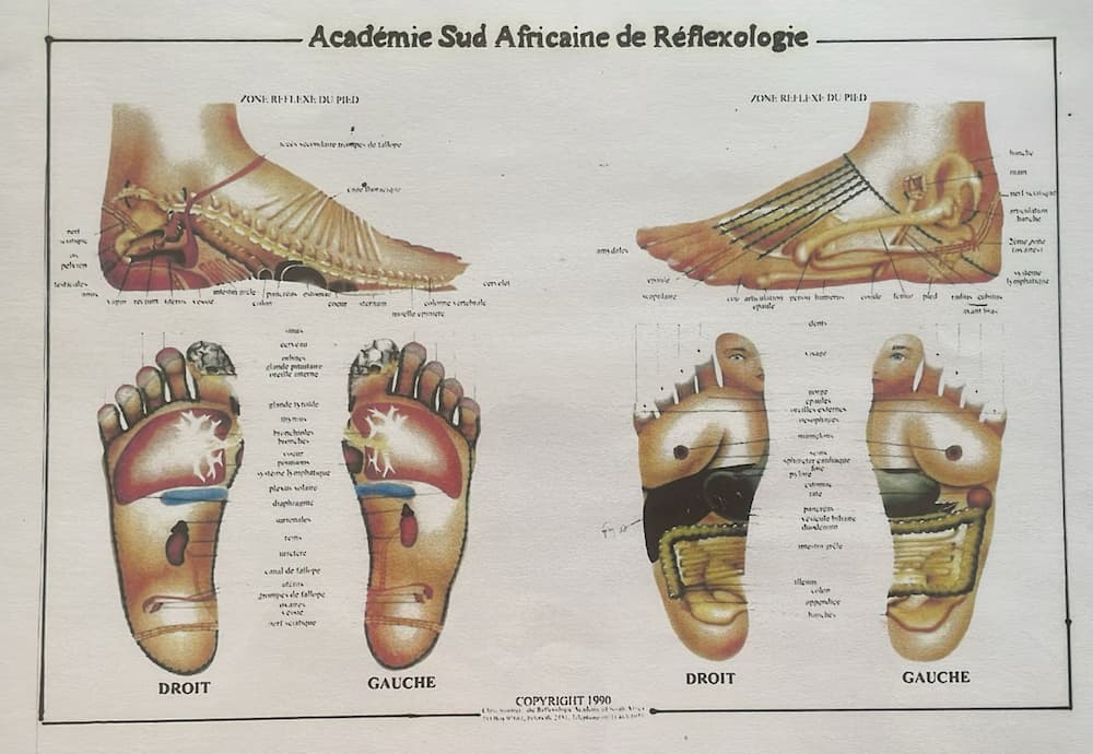Laetitia Dionnau - carte de réflexologie plantaire Carte des pieds de réflexologie plantaire douce sud-africaine